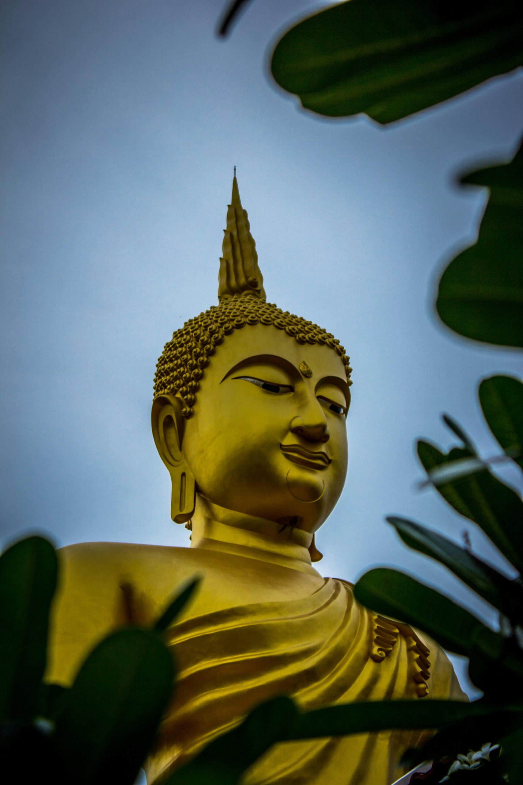 A majestic golden Buddha statue seen through the lush green leaves against a clear sky.