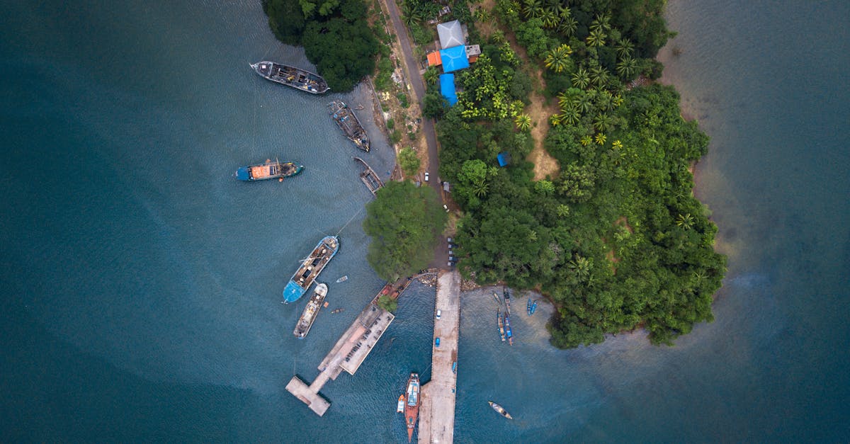 Drone capture of Port Blair's docks and boats against lush greenery and calm sea.