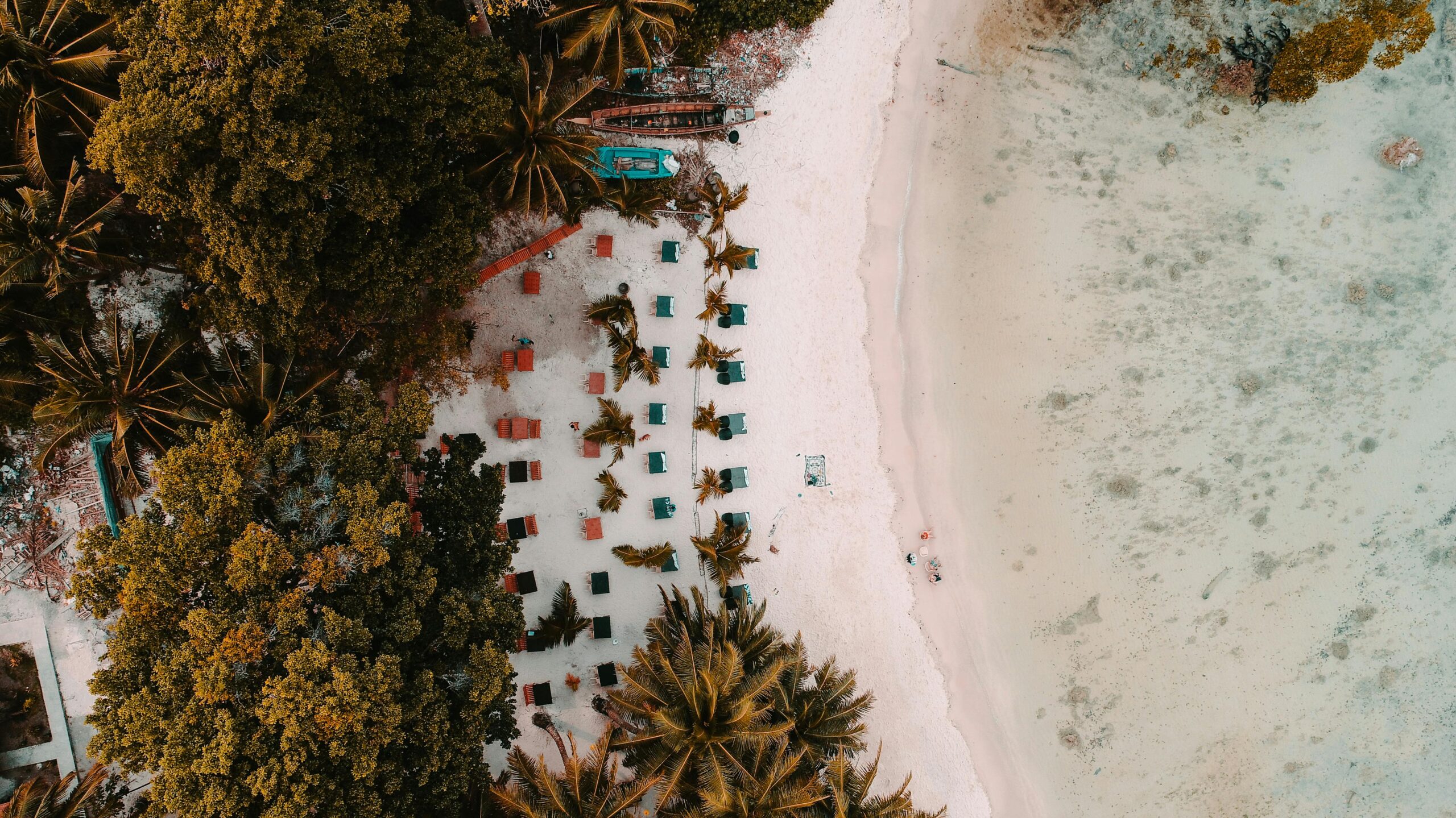 Aerial view of a tropical beach with sun loungers, palm trees, and white sand in the Andaman Islands.