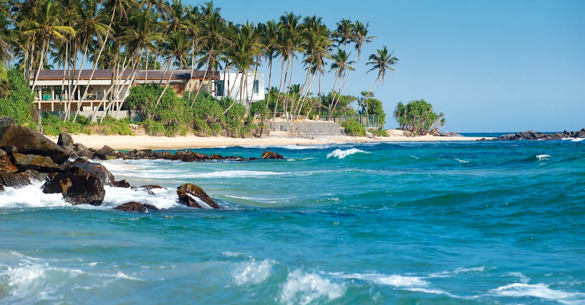 Serene Sri Lankan beach with palm trees and turquoise ocean waves.