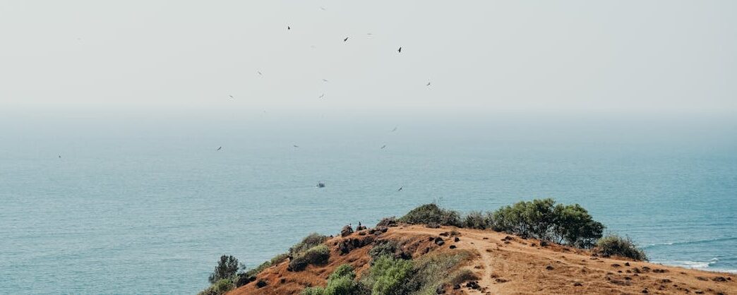 Breathtaking view of the ocean from a hilltop in Goa with birds flying overhead, perfect for travel inspiration.