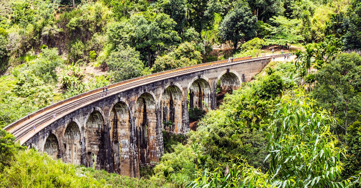 Discover the lush greenery and iconic Nine Arches Bridge in Demodara, Sri Lanka.